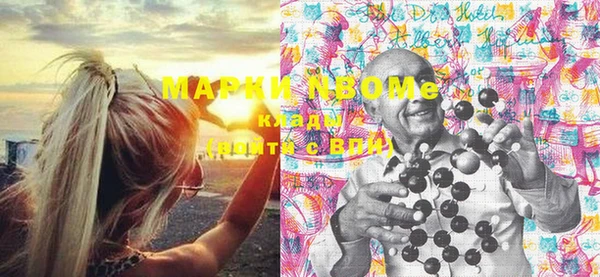 Альфа ПВП Горняк