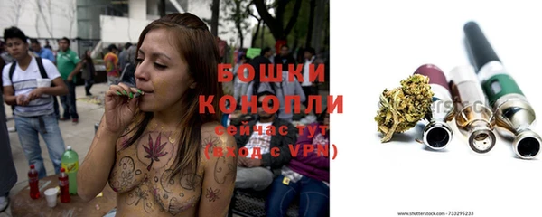 PSILOCYBIN Горно-Алтайск