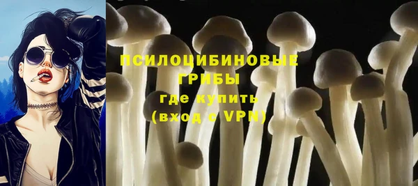 apvp Горнозаводск