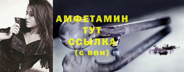 Альфа ПВП Горняк