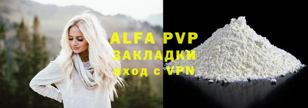 Альфа ПВП Горняк