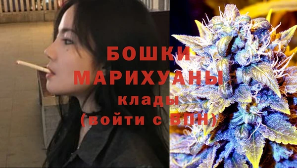 PSILOCYBIN Горно-Алтайск