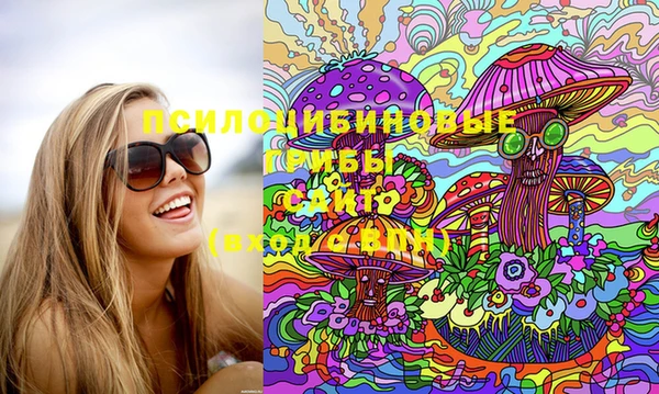 PSILOCYBIN Горно-Алтайск