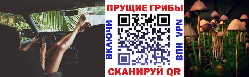 Псилоцибиновые грибы Magic Shrooms  Купить  Лобня 